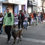 Mascotas y dueños caminaron por los Derechos Humanos en Huixquilucan