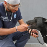 HuixquiCan preocupado por los seres sintientes, más de mil atenciones a todos los animalitos de Huixquilucan